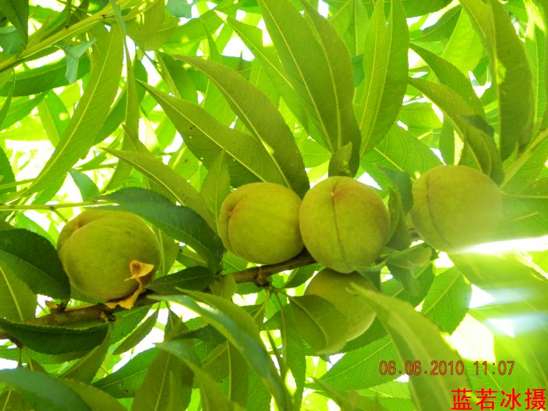 DSCN4373.jpg
