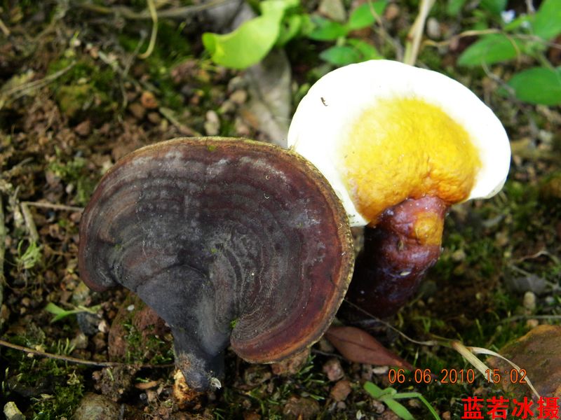 DSCN4394.jpg
