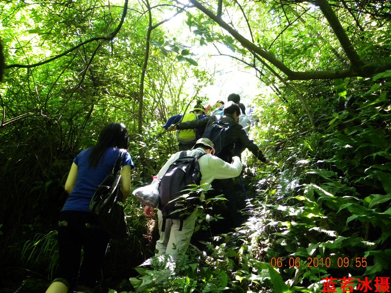 DSCN4355.jpg
