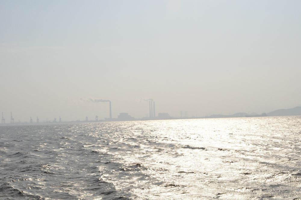 DSC_0807.jpg