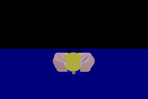 0907091801fa92eaea667064f0.gif